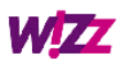 Wizz Air Airlines Check-in